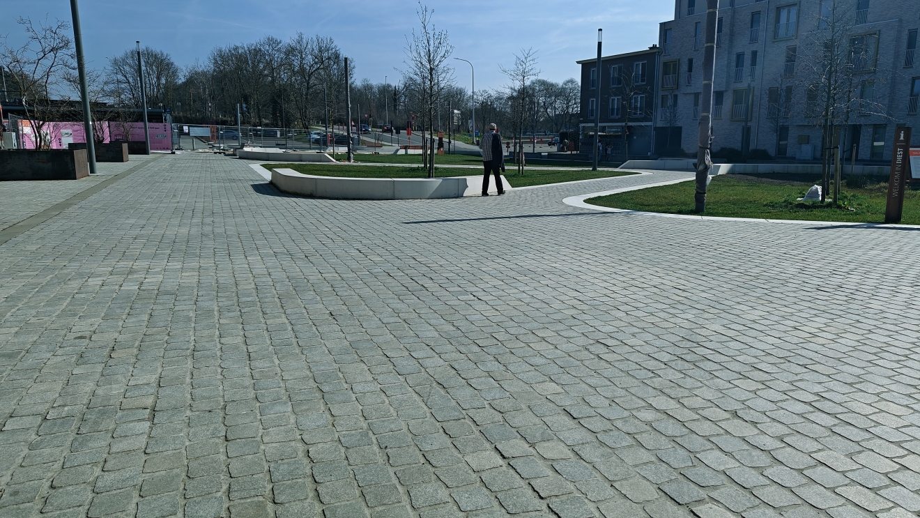 Diest gezaagde Spaanse graniet Sylvester