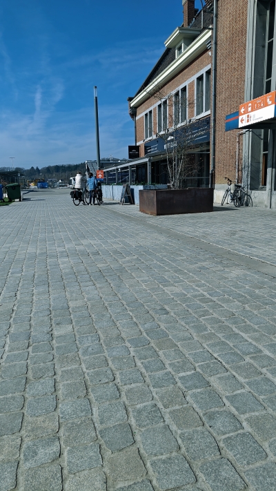 Diest gezaagde Spaanse graniet Sylvester